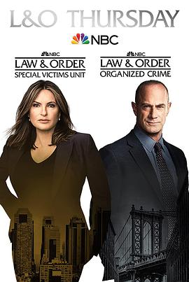 法律与秩序：特殊受害者第23季
